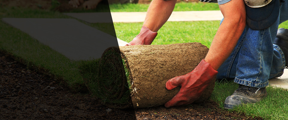 Fort Valley Landscapers
